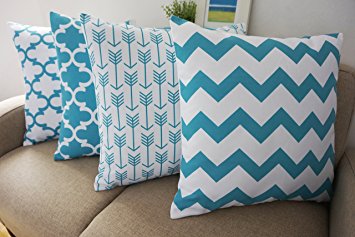 Chevron Decorative Throw Pillows